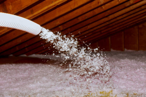 Best Insulation Removal  in Ele, AR