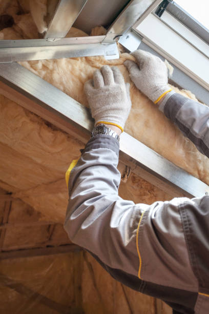 Best Cellulose Insulation  in Ele, AR