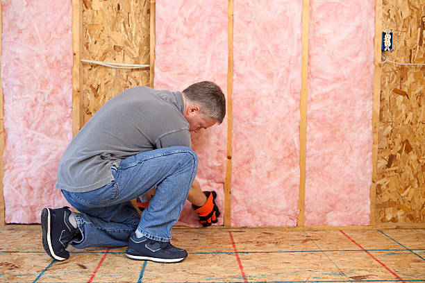 Best Insulation Inspection Services  in Ele, AR