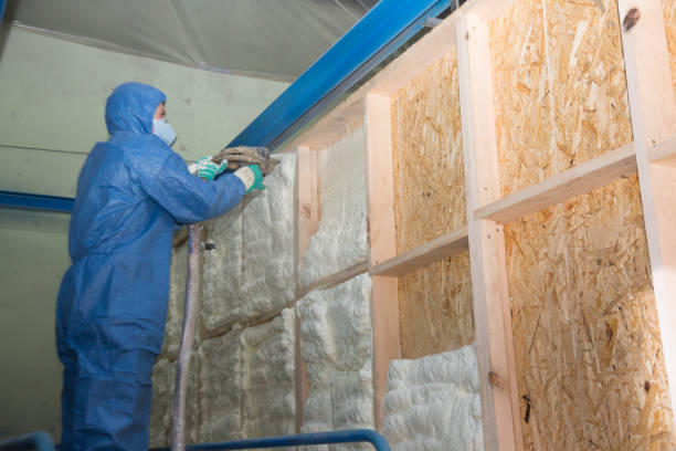 Insulation Inspection Services in Earle, AR
